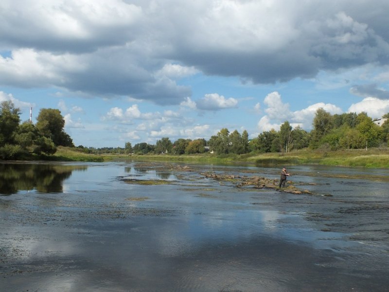 Река Гусинка Тверская область