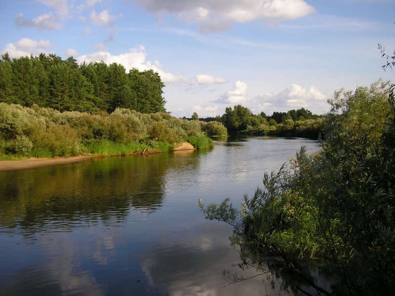 Река Волчина в Тверской области