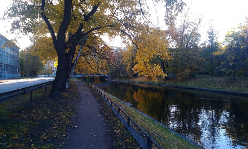 Район черная речка Санкт-Петербург парк