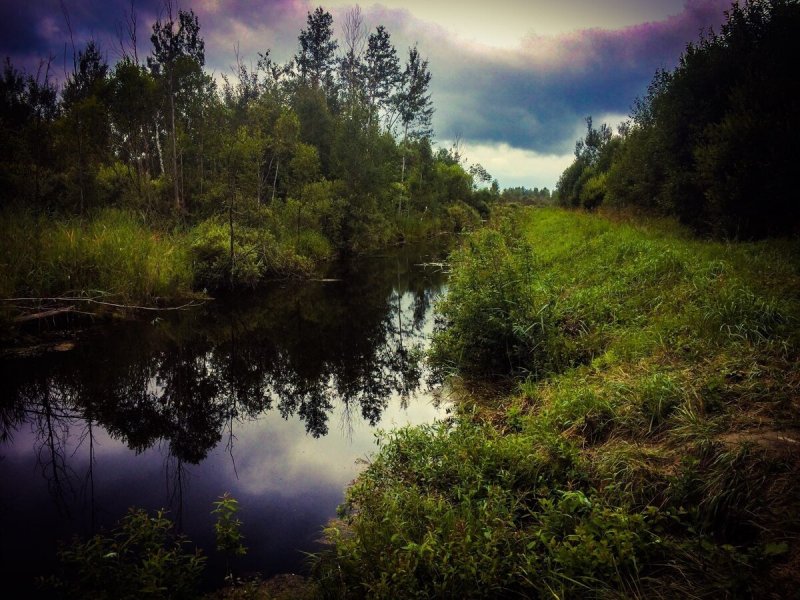 Река черная речка в Ленинградской области