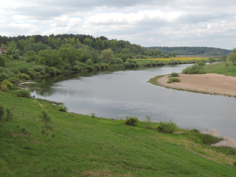 Река Угра Калужская область