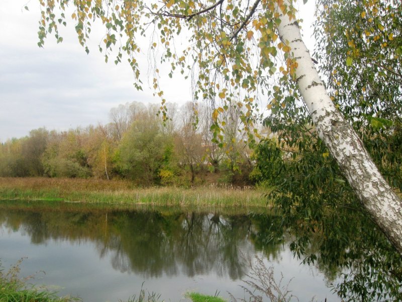 Шилово река Березка
