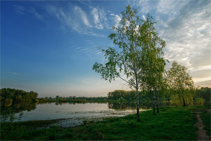 Брянск река Березка