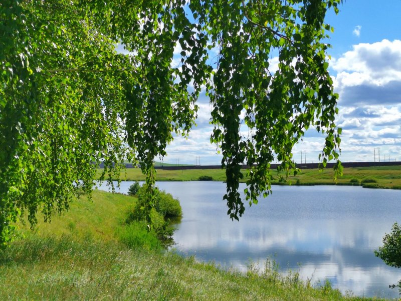 Озеро Березовое Самарская область