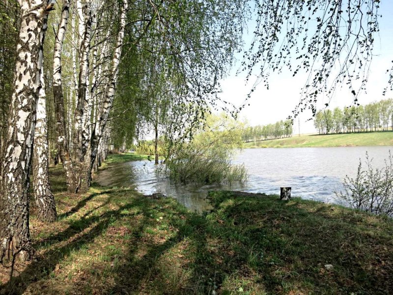Весенний берег реки