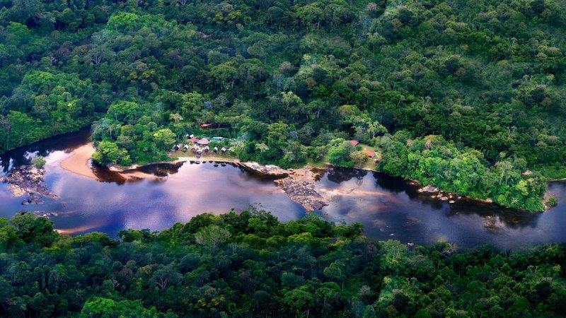 Парк гвианская Амазония