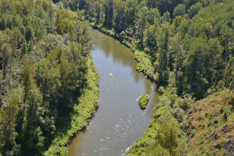 Река Бердь Новосибирской области