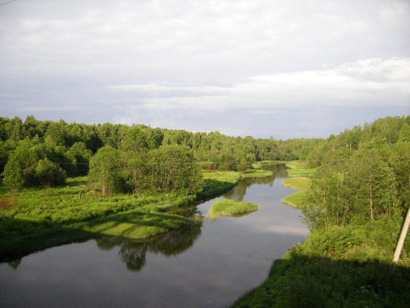 Река Вожа Вологодская область
