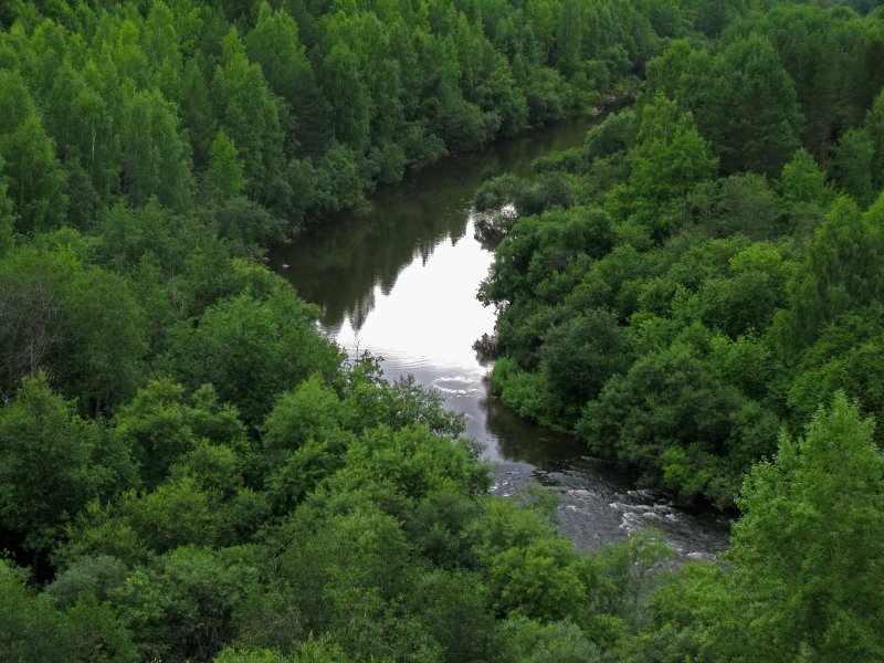 Исток реки тура Свердловской области