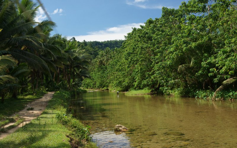 Река в джунглях Индии