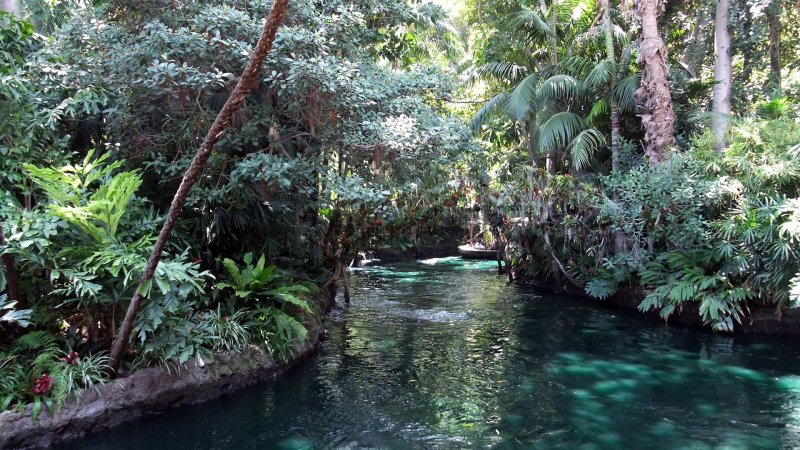 Тропическая река