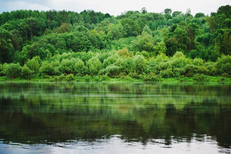 Река Ока в Тульской области
