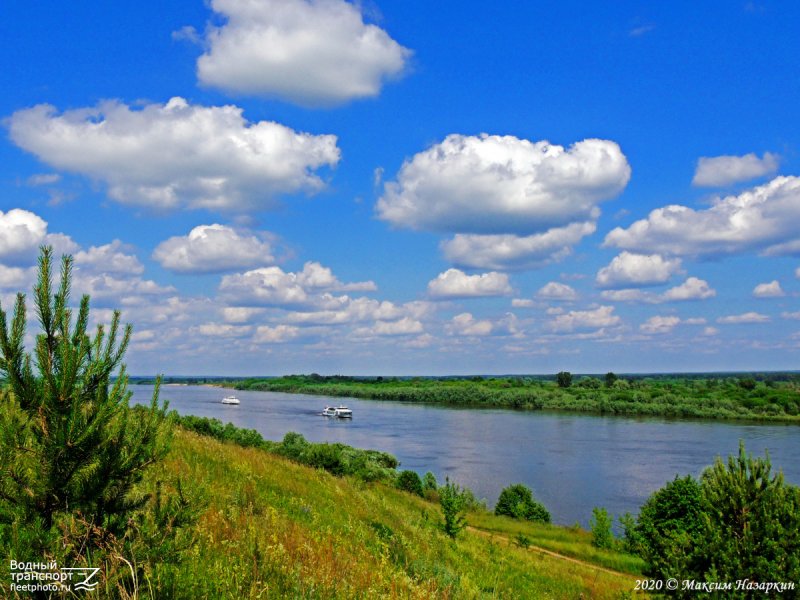 Река Ока Рязанская область