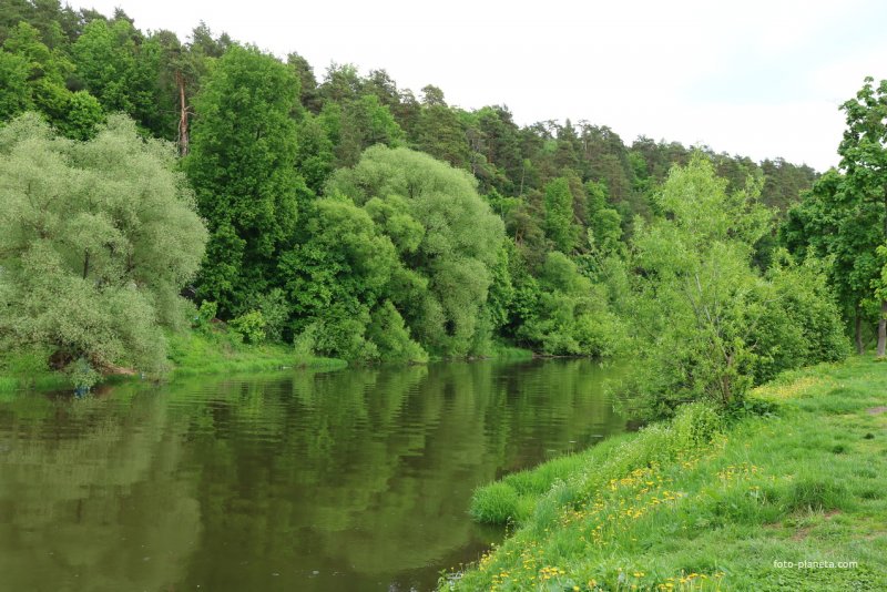 Река Десна Смоленская область