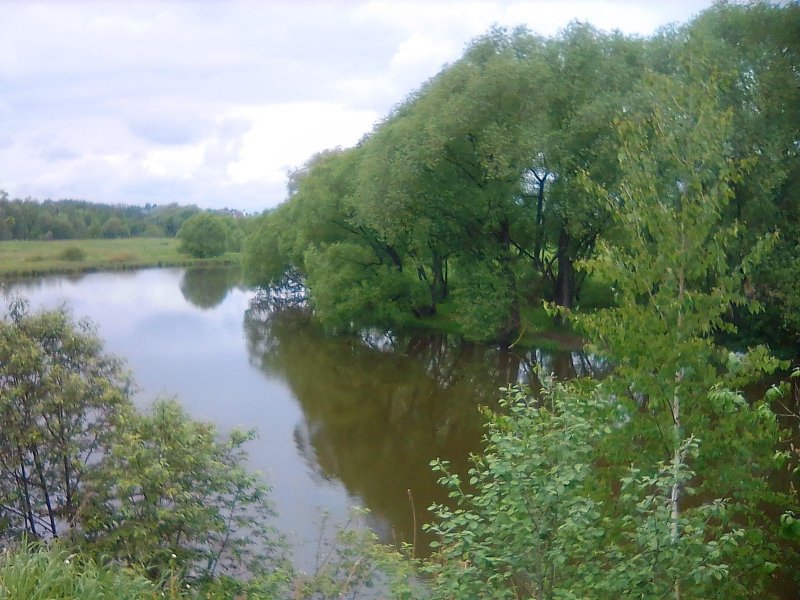 Река Десна в Жуковке Брянской области