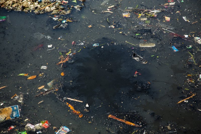 Загрязнение места жительства Фламинго