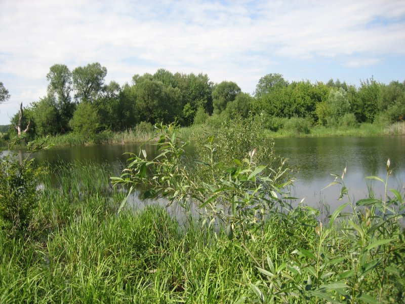 Река ворона Борисоглебск