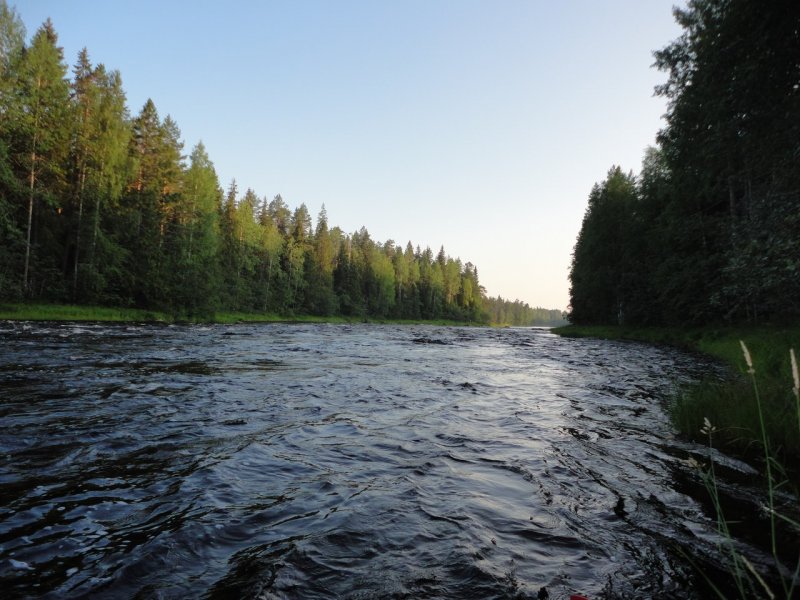 Река Тумча Карелия