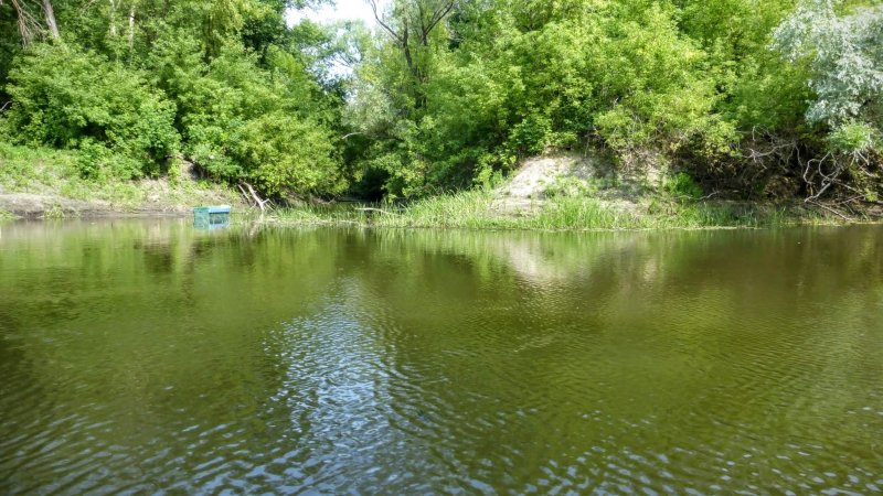 Мокрая Панда река в Тамбовской области