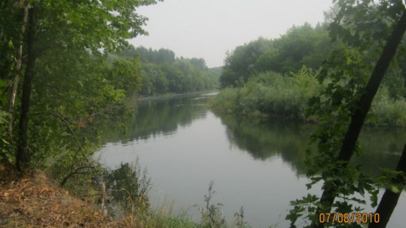 Рыба в реке ворона Тамбовской области