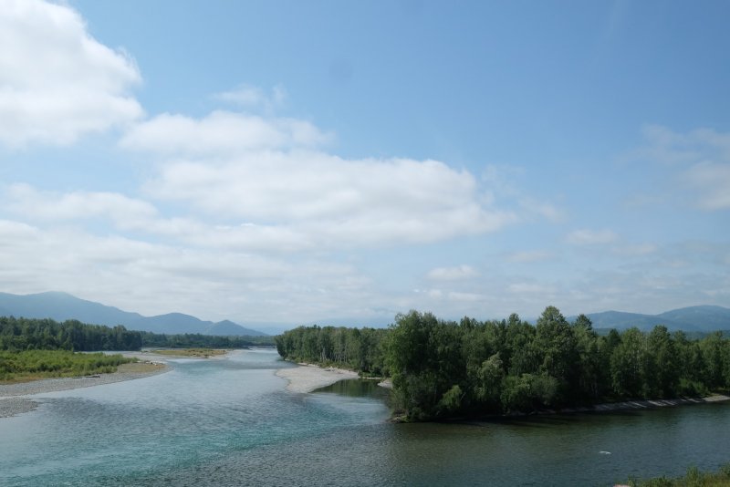 Слияние рек Катунь и кокса Алтай