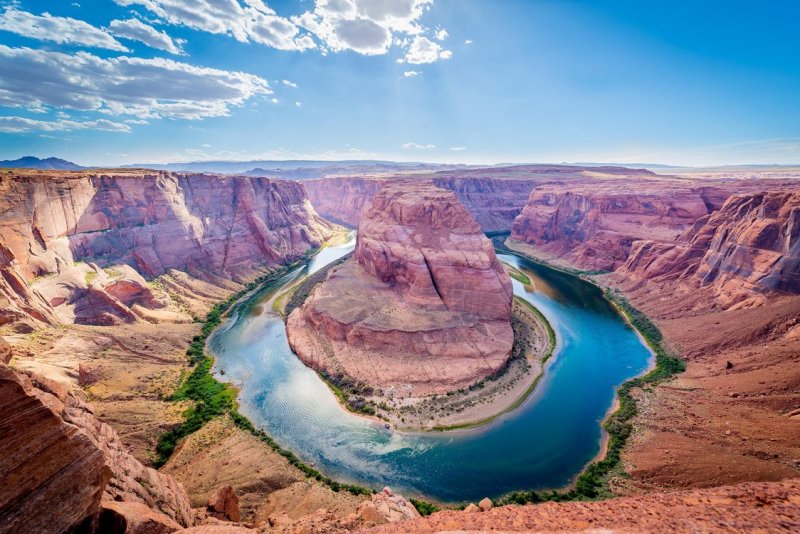 Большой каньон реки Колорадо животные