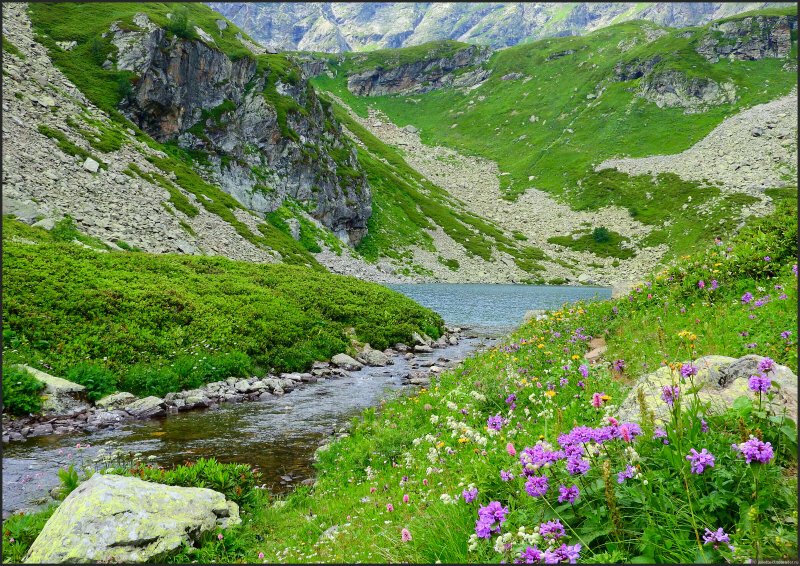 Река большой Зеленчук Кавказ