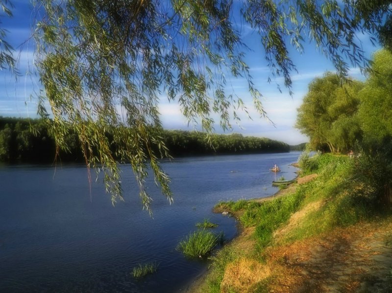 Десна лето река