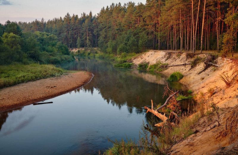 Река Киржач Тверская область