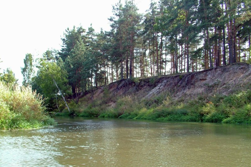 Крутой берег на реке Киржач