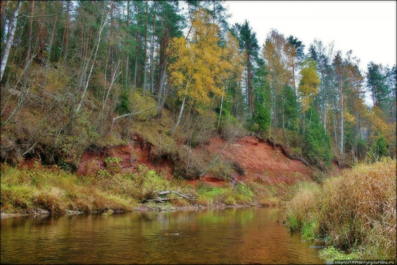 Девонский обрыв, красная скала. Деревня Хотнежа. Река Лемовжа.
