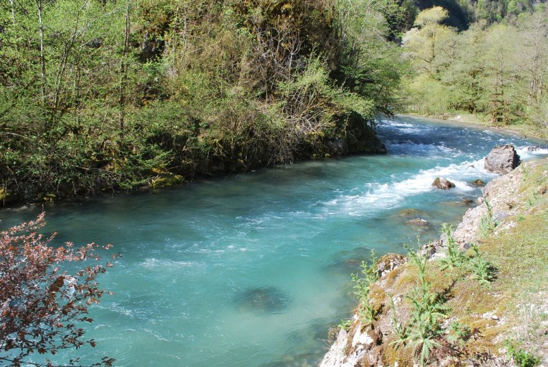 Слияние двух рек в Абхазии