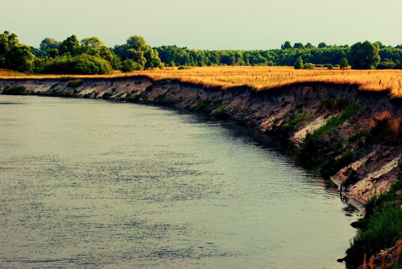 Волга обрывистый берег