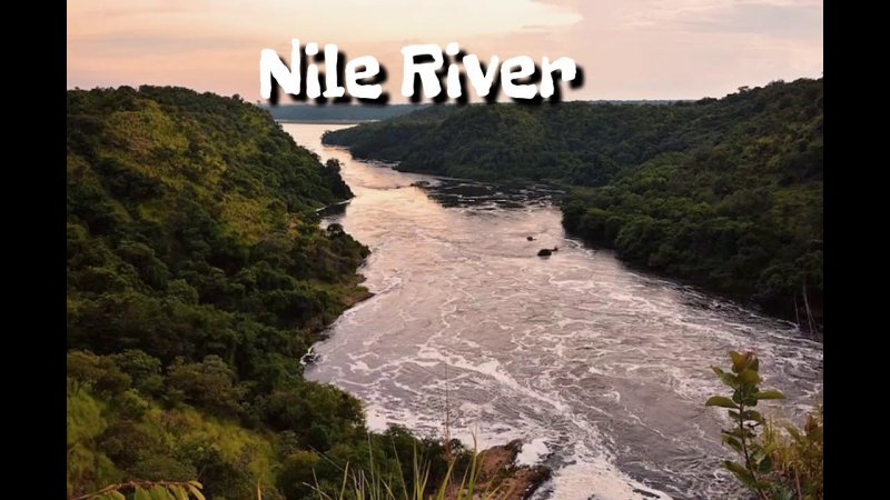 Нил Конго Амазонка