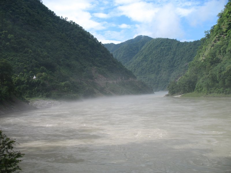 Река ганг лес