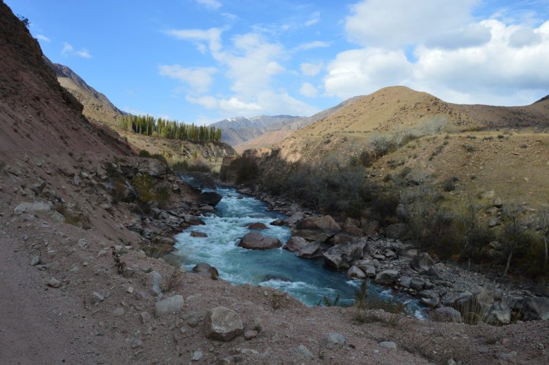 Река Нарын в Киргизии