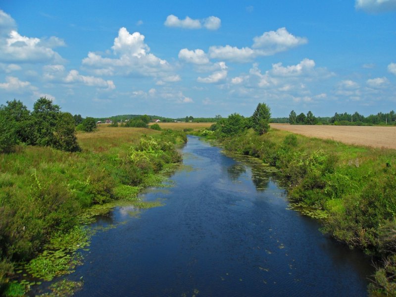 Исток реки Теза Ивановской области