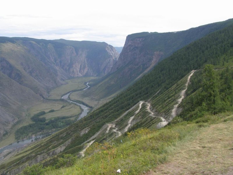 Горный Алтай Долина Чулышмана август 2020