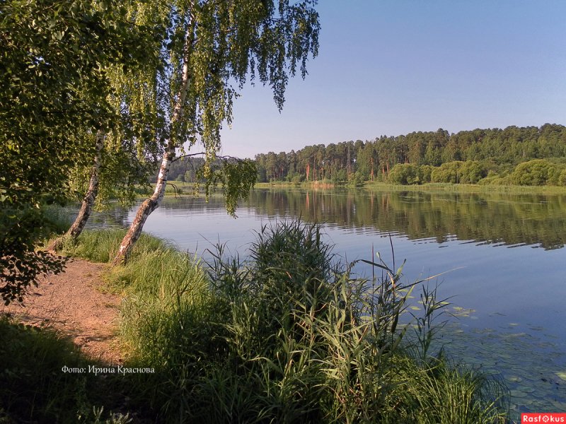Река Кинешемка Ивановская область