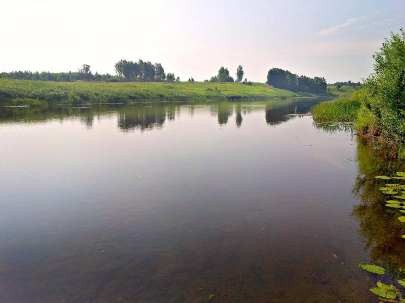 Река Нерль Петровский