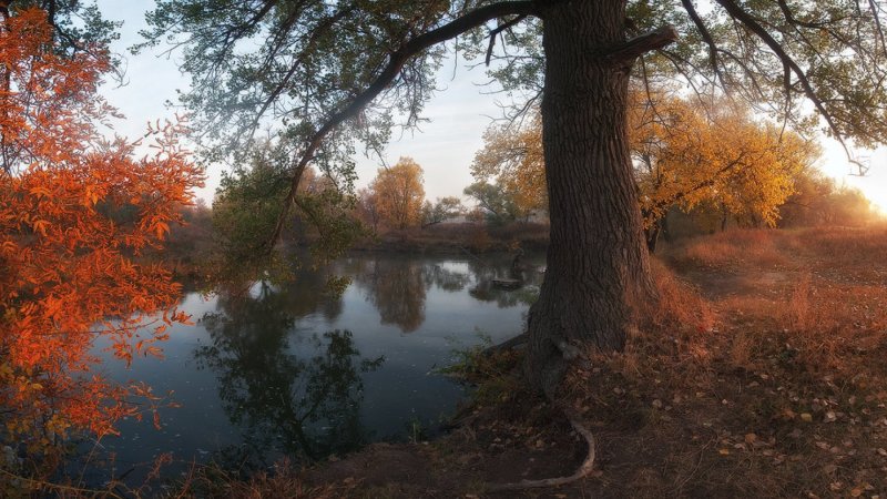 Поздняя осень у реки