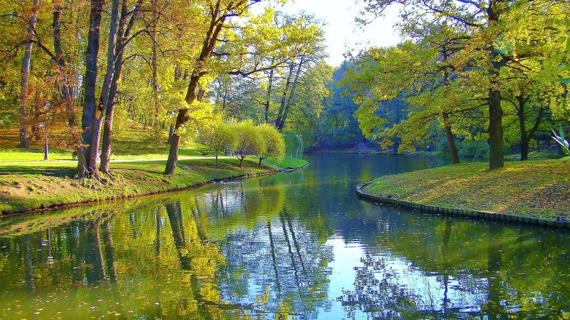 Осень парк пруд
