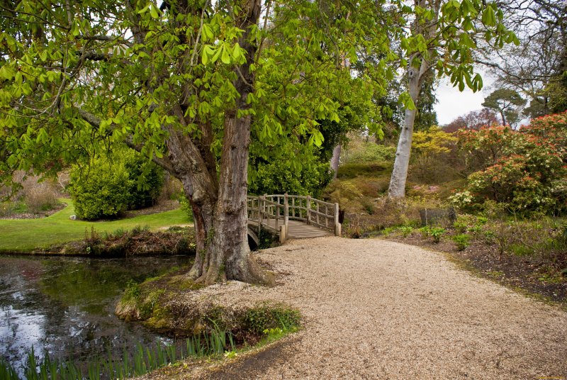 Англия парк сад мостик