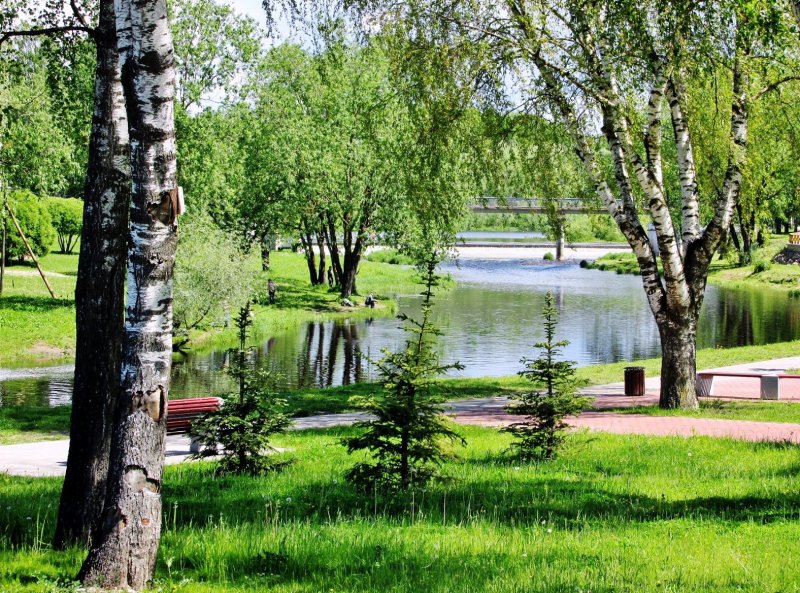 Телеэкран в парке у реки