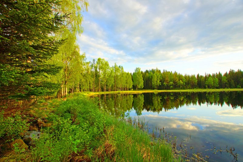 Лесные озёра средней полосы России