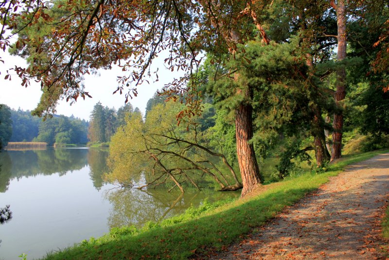 Озеро Лесное Сестрорецк