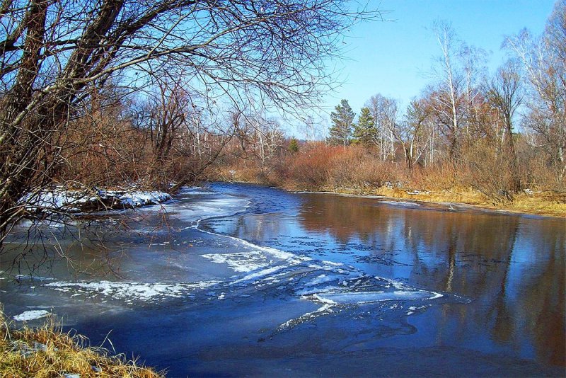 Весенние реки Тютчев