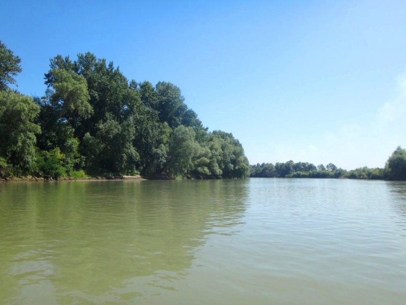 Река Кубань Федоровский