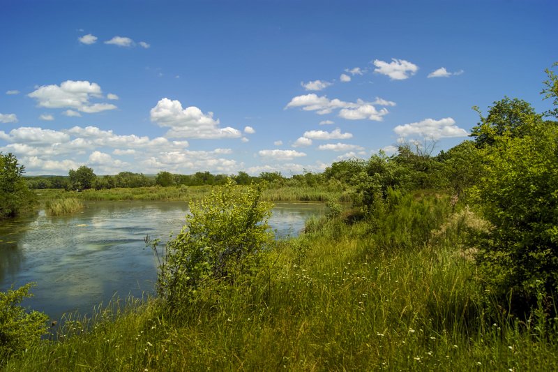 Краснодарский край поля река Кубань