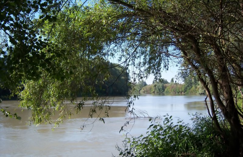 Река кубаньькраснодарский край